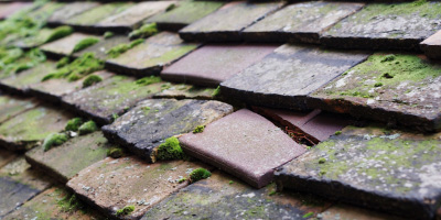 Ruscombe roof repair costs